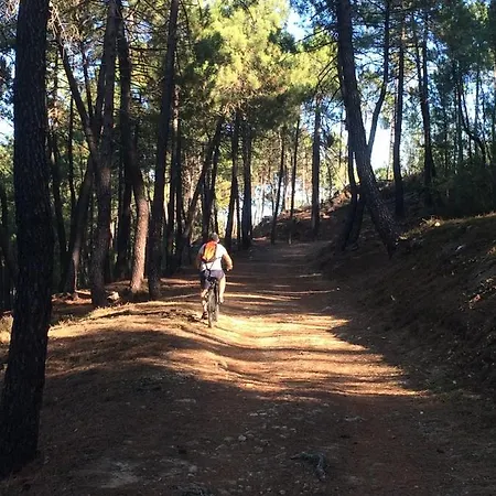 Provencale 100m De La Riviere 別荘 *